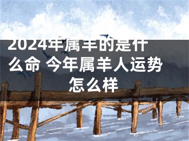 2024年属羊的是什么命 今年属羊人运势怎么样