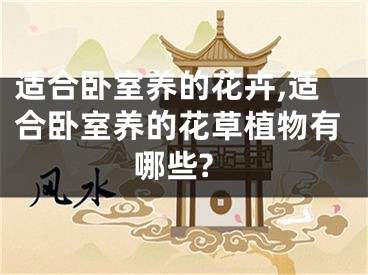 适合卧室养的花卉,适合卧室养的花草植物有哪些?