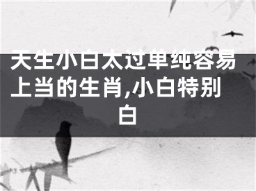 天生小白太过单纯容易上当的生肖,小白特别白