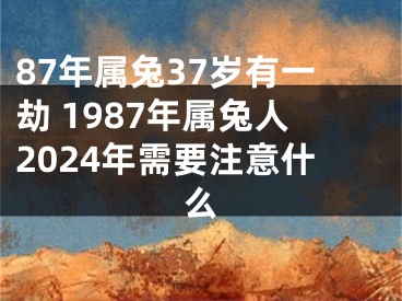 87年属兔37岁有一劫 1987年属兔人2024年需要注意什么