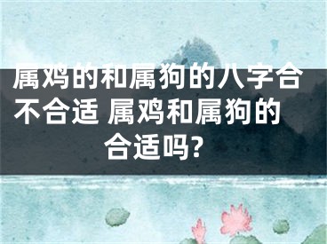 属鸡的和属狗的八字合不合适 属鸡和属狗的合适吗?