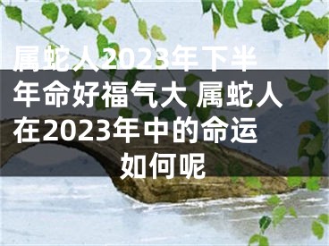 属蛇人2023年下半年命好福气大 属蛇人在2023年中的命运如何呢