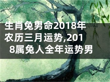 生肖兔男命2018年农历三月运势,2018属兔人全年运势男