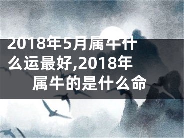 2018年5月属牛什么运最好,2018年属牛的是什么命