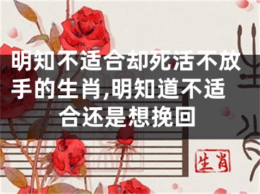 明知不适合却死活不放手的生肖,明知道不适合还是想挽回