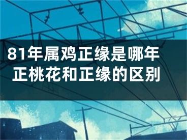 81年属鸡正缘是哪年 正桃花和正缘的区别