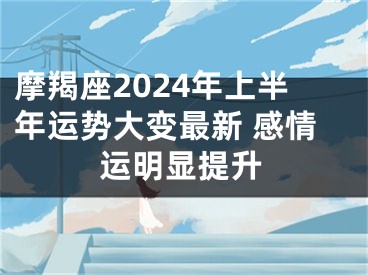 摩羯座2024年上半年运势大变最新 感情运明显提升