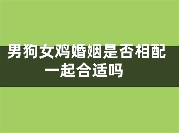 男狗女鸡婚姻是否相配 一起合适吗