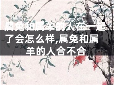 属兔和属羊的人在一起了会怎么样,属兔和属羊的人合不合
