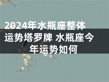2024年水瓶座整体运势塔罗牌 水瓶座今年运势如何