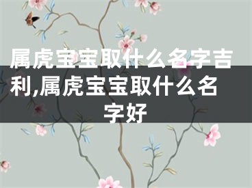 属虎宝宝取什么名字吉利,属虎宝宝取什么名字好