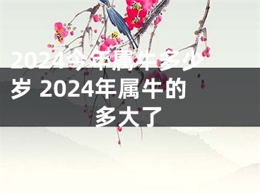 2024今年属牛多少岁 2024年属牛的多大了