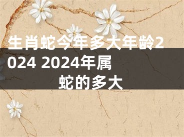 生肖蛇今年多大年龄2024 2024年属蛇的多大