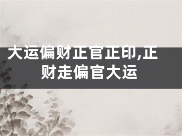 大运偏财正官正印,正财走偏官大运