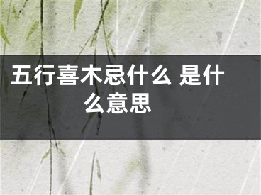 五行喜木忌什么 是什么意思 
