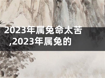 2023年属兔命太苦,2023年属兔的