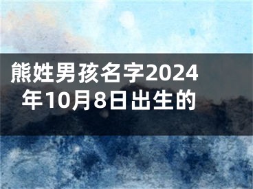 熊姓男孩名字2024年10月8日出生的