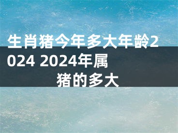生肖猪今年多大年龄2024 2024年属猪的多大