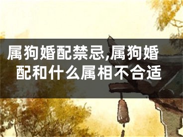 属狗婚配禁忌,属狗婚配和什么属相不合适