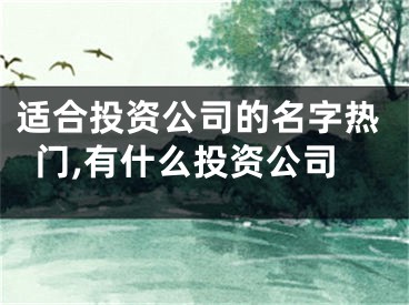 适合投资公司的名字热门,有什么投资公司