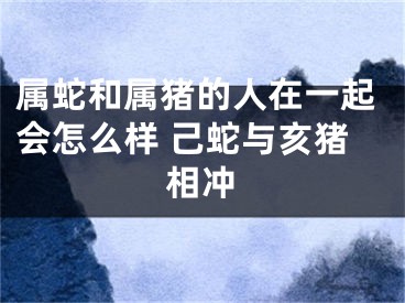 属蛇和属猪的人在一起会怎么样 己蛇与亥猪相冲