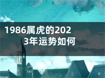 1986属虎的2023年运势如何