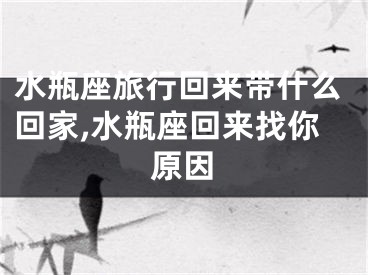 水瓶座旅行回来带什么回家,水瓶座回来找你原因