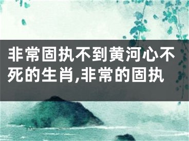 非常固执不到黄河心不死的生肖,非常的固执