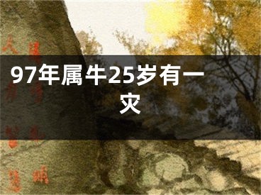 97年属牛25岁有一灾