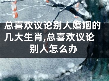 总喜欢议论别人婚姻的几大生肖,总喜欢议论别人怎么办