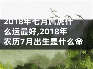 2018年七月属虎什么运最好,2018年农历7月出生是什么命