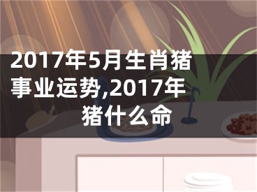 2017年5月生肖猪事业运势,2017年猪什么命