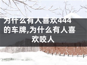 为什么有人喜欢444的车牌,为什么有人喜欢咬人