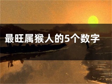 最旺属猴人的5个数字