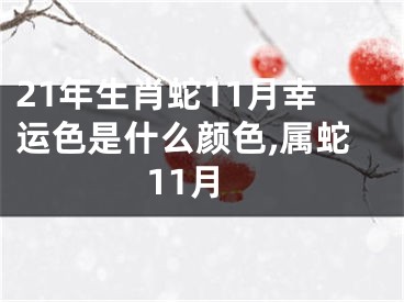 21年生肖蛇11月幸运色是什么颜色,属蛇11月