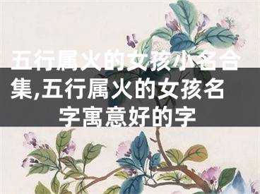 五行属火的女孩小名合集,五行属火的女孩名字寓意好的字