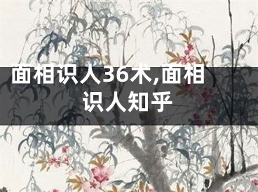 面相识人36术,面相识人知乎