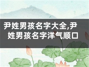 尹姓男孩名字大全,尹姓男孩名字洋气顺口