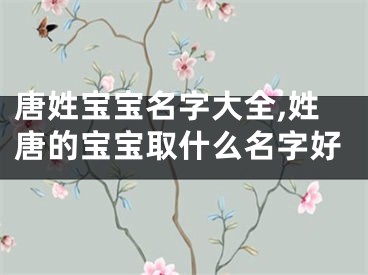 唐姓宝宝名字大全,姓唐的宝宝取什么名字好