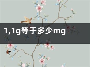 1,1g等于多少mg