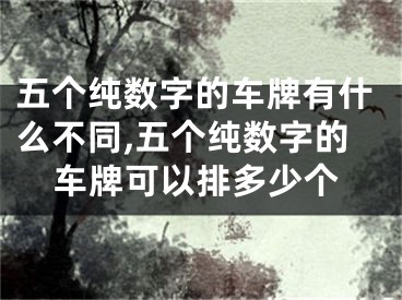 五个纯数字的车牌有什么不同,五个纯数字的车牌可以排多少个