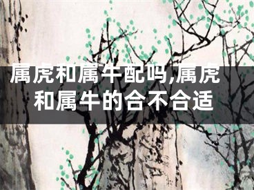 属虎和属牛配吗,属虎和属牛的合不合适