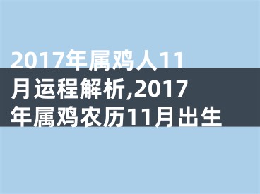 2017年属鸡人11月运程解析,2017年属鸡农历11月出生