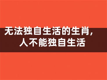 无法独自生活的生肖,人不能独自生活