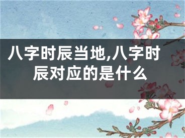 八字时辰当地,八字时辰对应的是什么