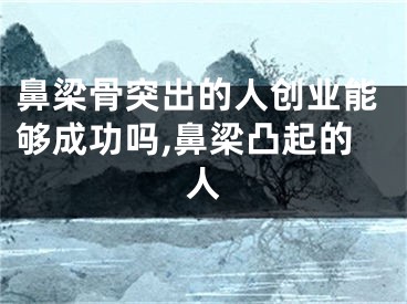 鼻梁骨突出的人创业能够成功吗,鼻梁凸起的人