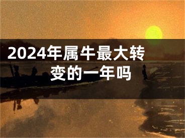 2024年属牛最大转变的一年吗