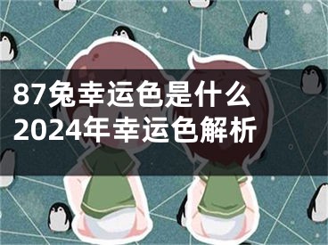 87兔幸运色是什么 2024年幸运色解析