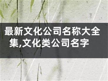 最新文化公司名称大全集,文化类公司名字