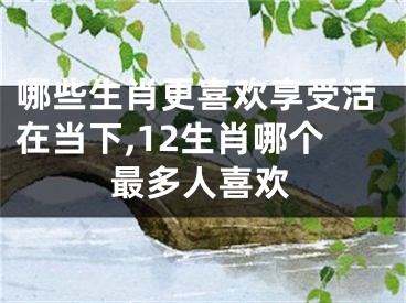 哪些生肖更喜欢享受活在当下,12生肖哪个最多人喜欢